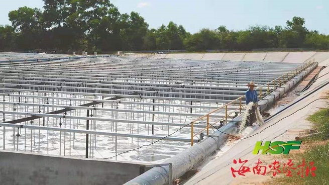 ladbrokes立博-公司官网