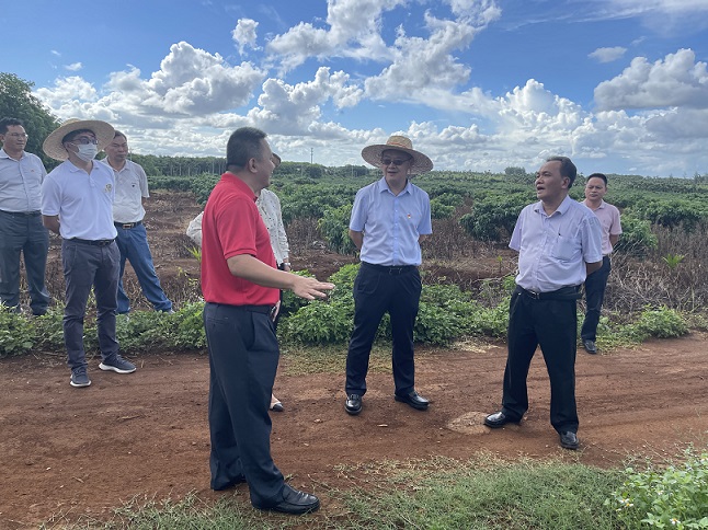 ladbrokes立博-公司官网