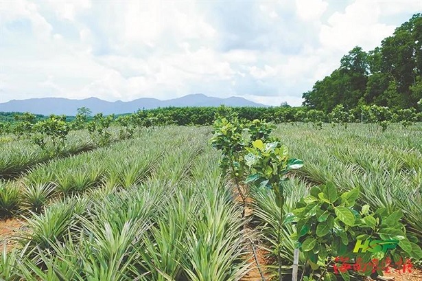 ladbrokes立博-公司官网