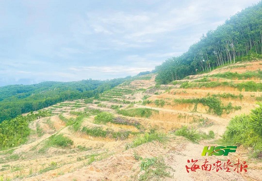 ladbrokes立博-公司官网