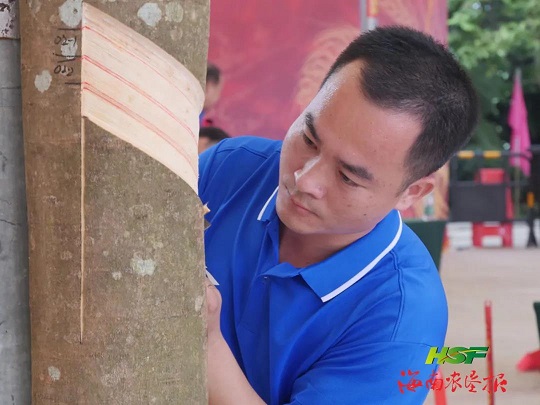 ladbrokes立博-公司官网