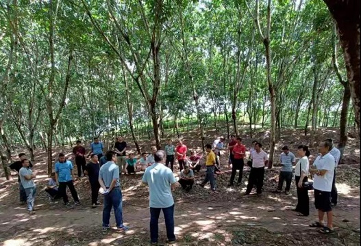 ladbrokes立博-公司官网