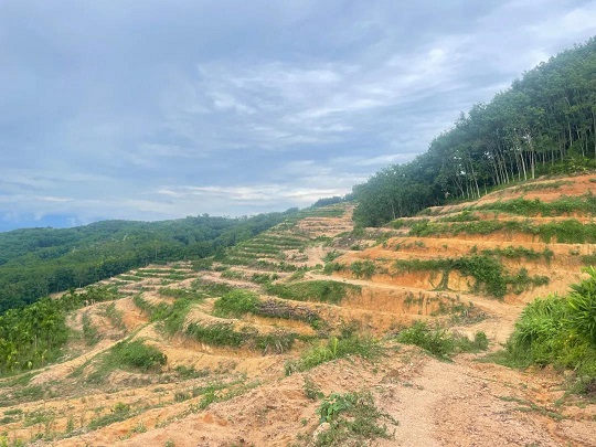 ladbrokes立博-公司官网