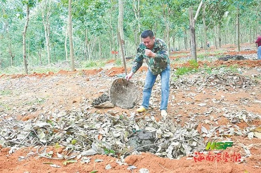 ladbrokes立博-公司官网