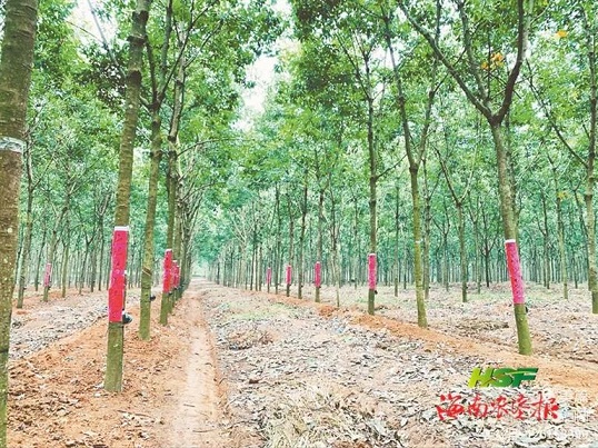 ladbrokes立博-公司官网