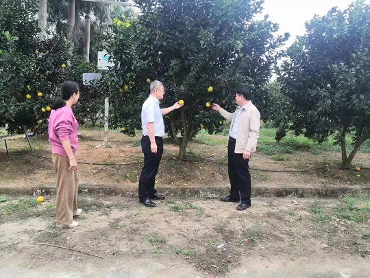 ladbrokes立博-公司官网