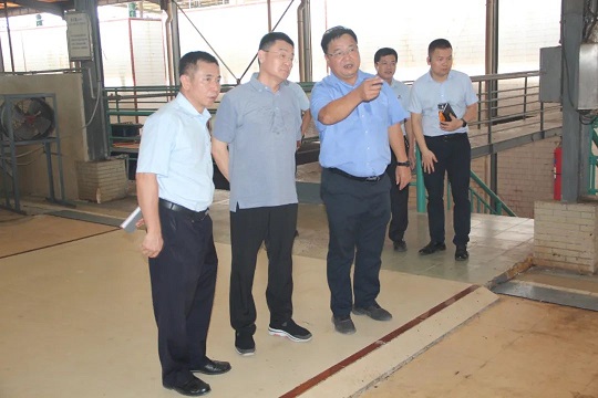 ladbrokes立博-公司官网