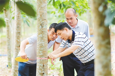 ladbrokes立博-公司官网