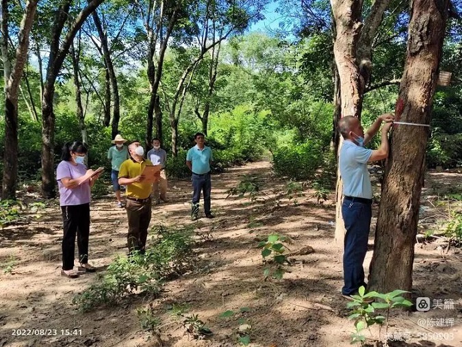 ladbrokes立博-公司官网