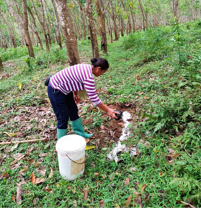 ladbrokes立博-公司官网