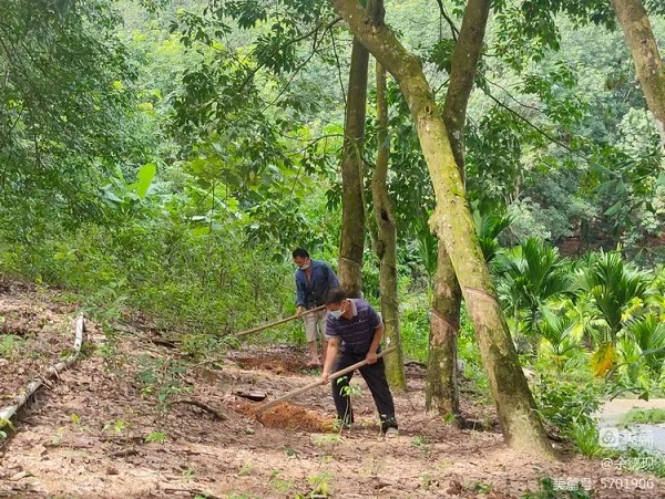 ladbrokes立博-公司官网