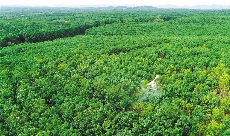 ladbrokes立博-公司官网