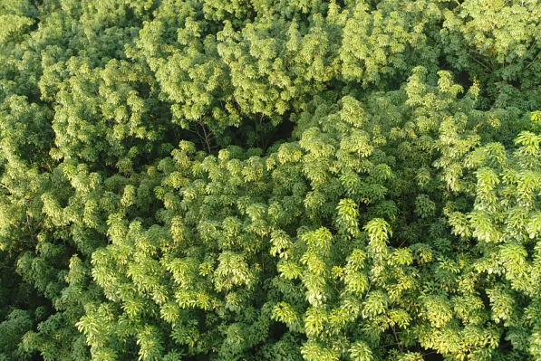 ladbrokes立博-公司官网