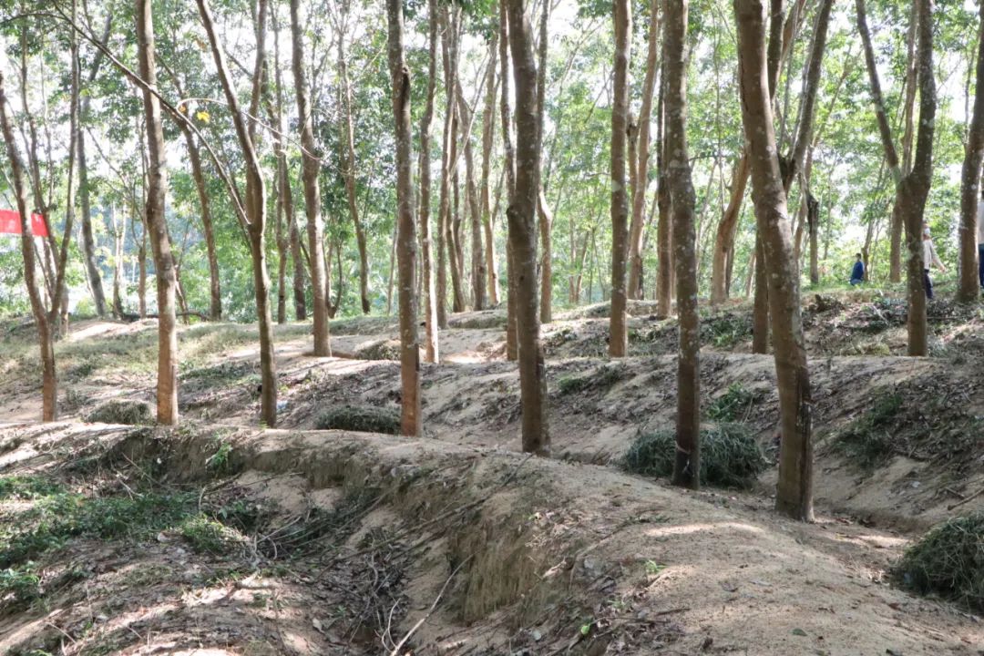 ladbrokes立博-公司官网